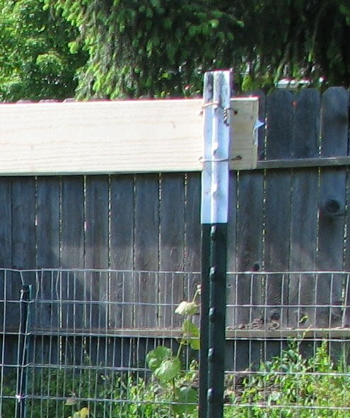 A wooden board by Owl Creek Farm rests on a wire fence post in a garden setting.