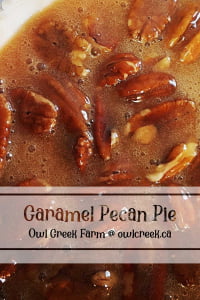 Close-up of caramel pecan pie with glossy pecans, labeled Caramel Pecan Pie, crafted by Owl Creek Farm.