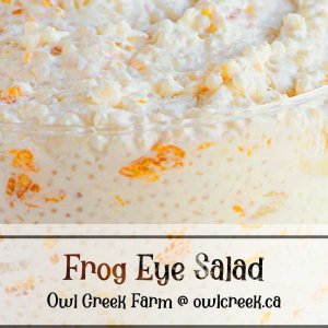 Close-up of a bowl of Frog Eye Salad with a printed label on the glass by Owl Creek Farm.