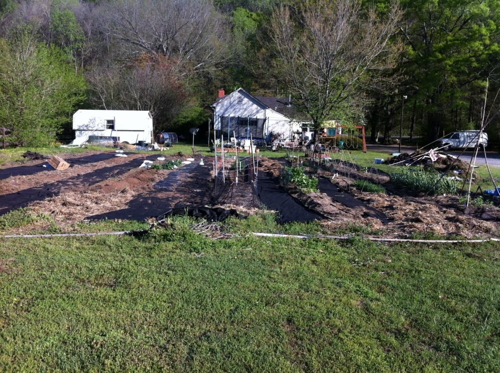 Garden with rows of plants and black tarps, set on the picturesque Owl Creek Farm, features a small house, trees, and a trailer in the background.