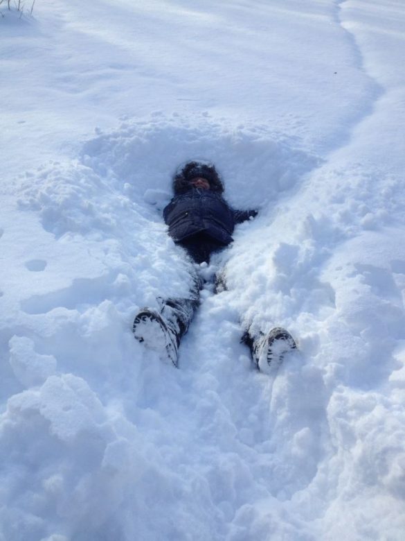 Bundled up in winter clothing, a person lies in the snow at Owl Creek Farm, crafting a perfect snow angel.