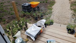Owl Creek Farm 2021 Tomato Planters