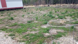 Owl Creek Farm Awaiting Landscaping