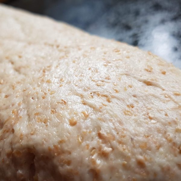 The BEST Wheat Bran Yeast Bread ⋆ Owl Creek Farm