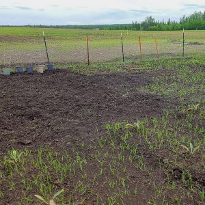Owl Creek Farm 2021 Garden