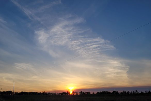 Owl Creek Farm, Little Smoky, MD of Greenview Sunset May 12, 2023