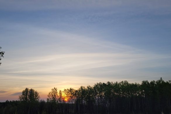 Owl Creek Farm, Little Smoky, MD of Greenview Sunrise May 13, 2023