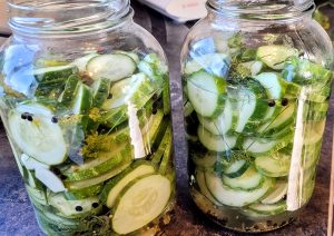 Owl Creek Farm Refrigerator Pickles Aug 2023
