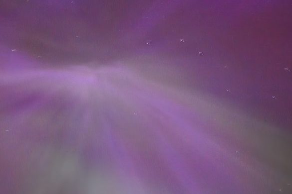 Owl Creek Farm 2024 Northern Lights
