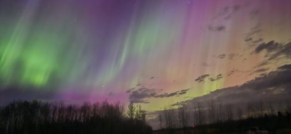 Owl Creek Farm 2024 Northern Lights