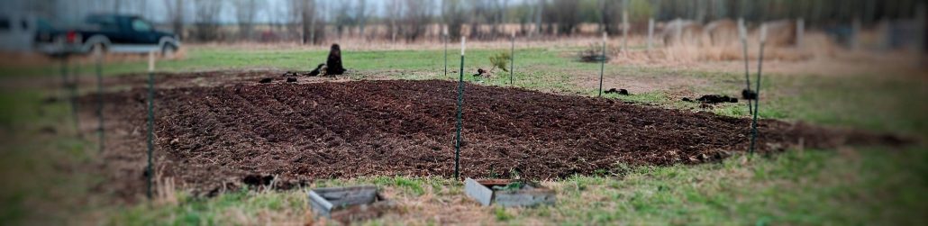 Owl Creek Farm 2024 Garden