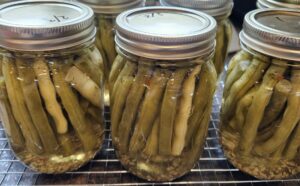 a photo of jarred dilled green beans by owlcreek.ca