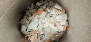 a photo of roughly crushed eggshells by Owl Creek Farm