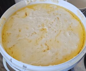 photo of separated mayo after being frozen