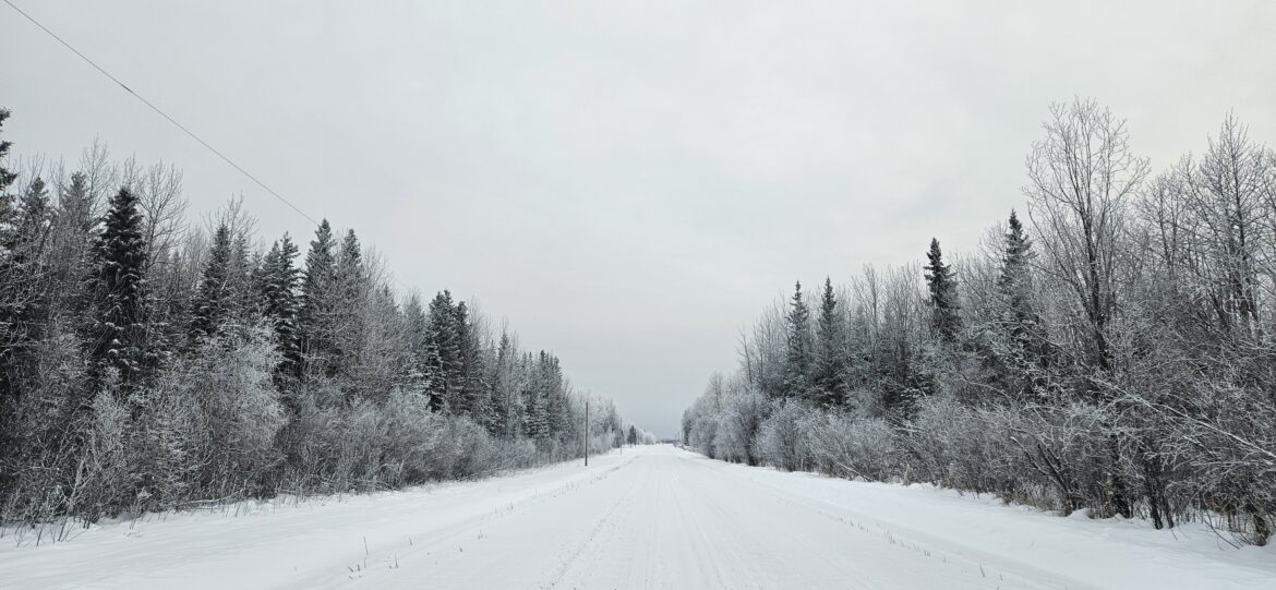 a photo of a snowy scene with a snow covered road and frosted trees lining both sides of the road by owlcreek.ca