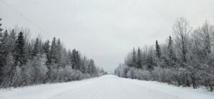 a photo of a snowy scene with a snow covered road and frosted trees lining both sides of the road by owlcreek.ca