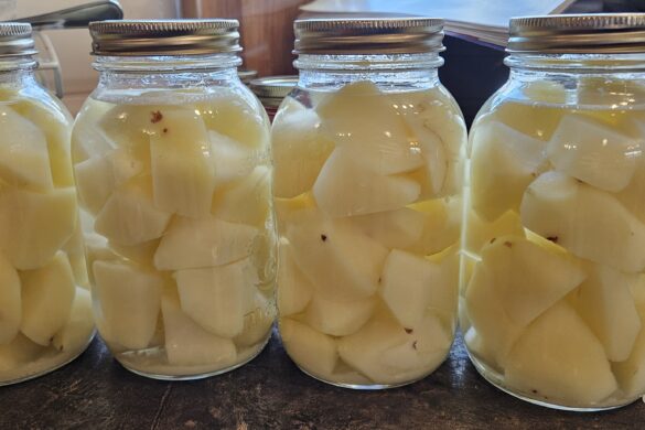 One of a series of photos from Owl Creek Farm 2024 garden progress from seed to harvest